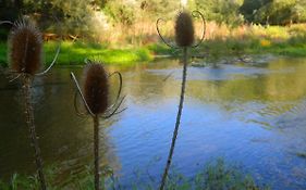 Bed And Breakfast L'antico Ritrovo